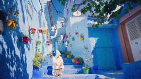 摩洛哥摄影·北非探秘13日 | 人文风光色彩盛宴